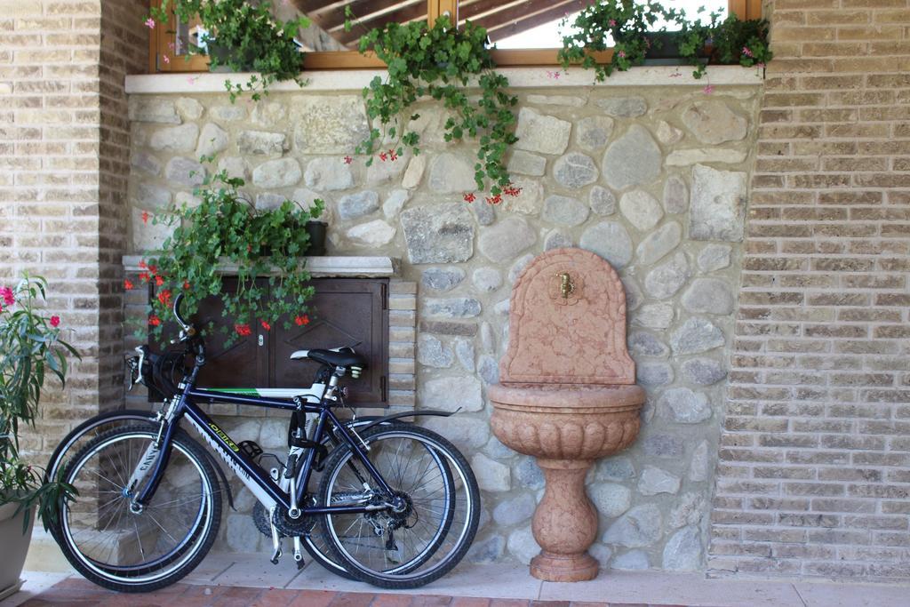 Giardino Degli Ulivi Apartamento Caprino Veronese Exterior foto