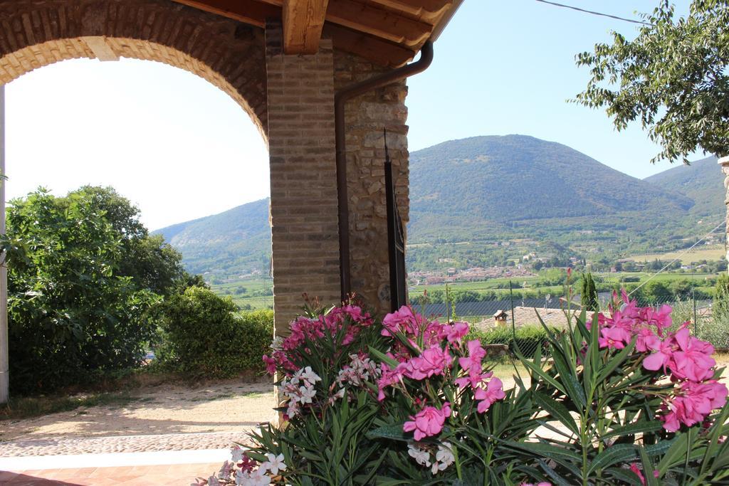 Giardino Degli Ulivi Apartamento Caprino Veronese Exterior foto