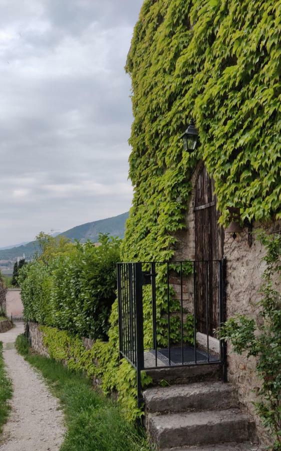 Giardino Degli Ulivi Apartamento Caprino Veronese Exterior foto