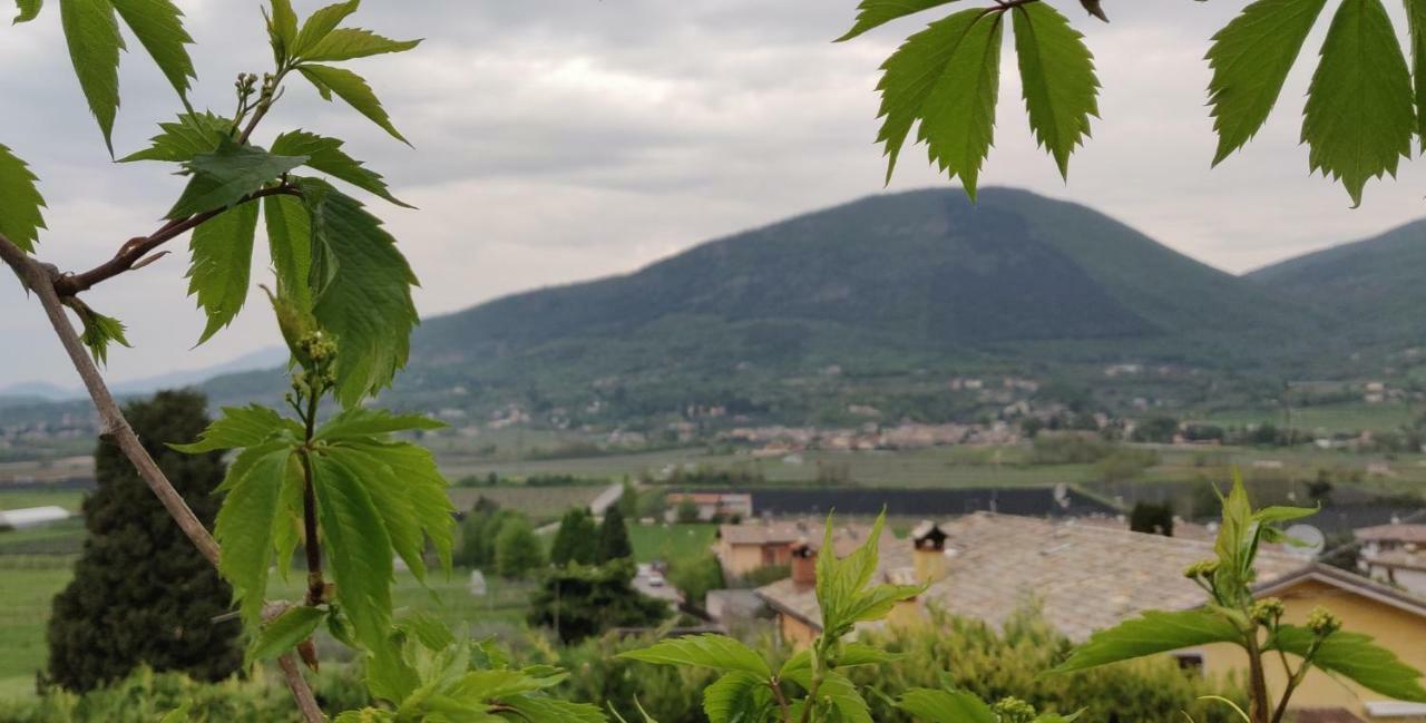 Giardino Degli Ulivi Apartamento Caprino Veronese Exterior foto